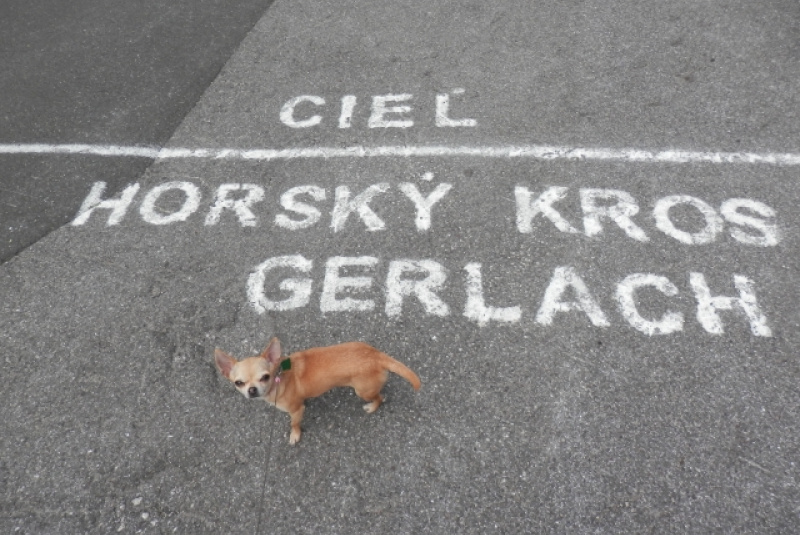 Charitatívna akcia Káčer na bicykli 2015